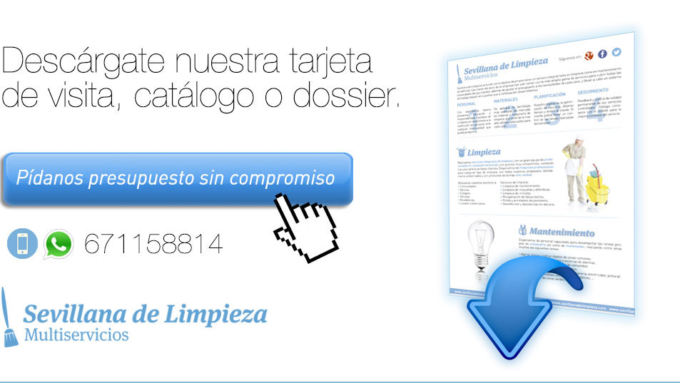 Empresa Limpieza Sevilla Limpieza de Garajes limpieza de comunidades