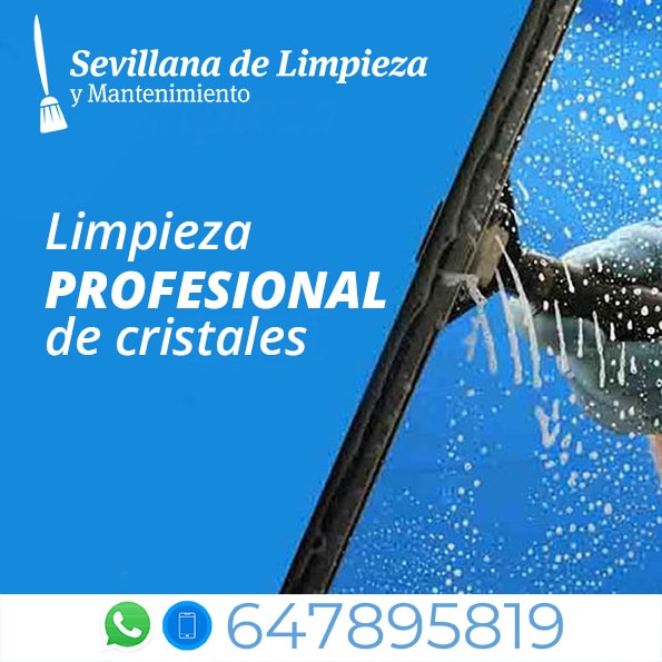 Limpieza de Cristales en Sevilla